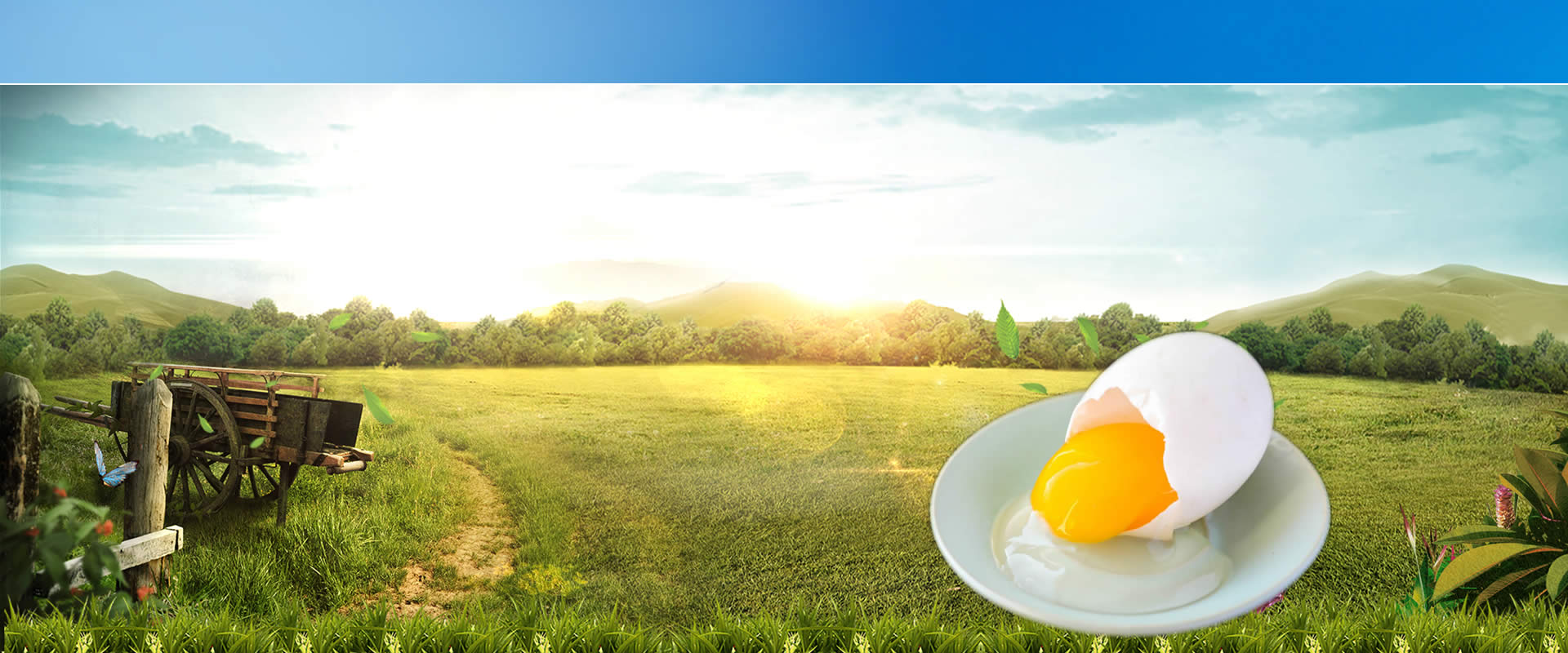 “黑足鼎”牌連城白鴨榮獲“福建省著名商標”